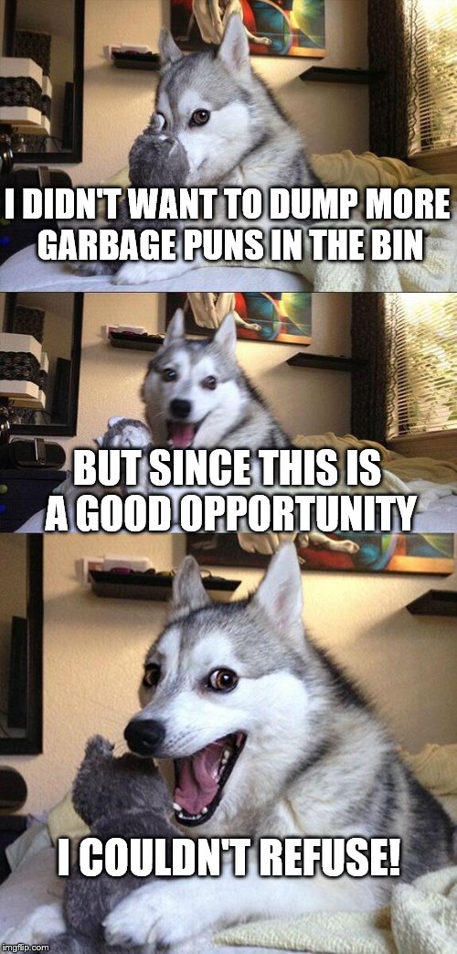 Bad Pun Dog Meme | I DIDN'T WANT TO DUMP MORE GARBAGE PUNS IN THE BIN BUT SINCE THIS IS A GOOD OPPORTUNITY I COULDN'T REFUSE! | image tagged in memes,bad pun dog | made w/ Imgflip meme maker