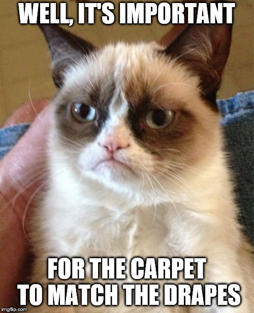 Grumpy Cat Meme | WELL, IT'S IMPORTANT FOR THE CARPET TO MATCH THE DRAPES | image tagged in memes,grumpy cat | made w/ Imgflip meme maker