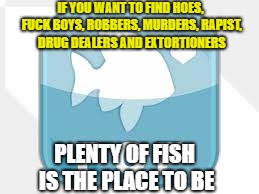 POF logo | IF YOU WANT TO FIND HOES, FUCK BOYS, ROBBERS, MURDERS, RAPIST, DRUG DEALERS AND EXTORTIONERS; PLENTY OF FISH IS THE PLACE TO BE | image tagged in pof logo | made w/ Imgflip meme maker