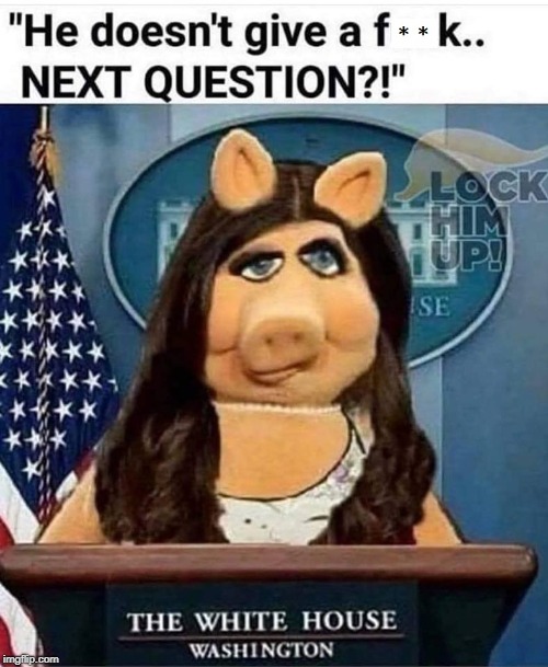 The White House cares | image tagged in sarah huckabee sanders,trump,political,press | made w/ Imgflip meme maker