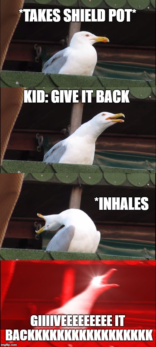 Inhaling Seagull Meme | *TAKES SHIELD POT*; KID: GIVE IT BACK; *INHALES; GIIIIVEEEEEEEEE IT BACKKKKKKKKKKKKKKKKK | image tagged in memes,inhaling seagull | made w/ Imgflip meme maker
