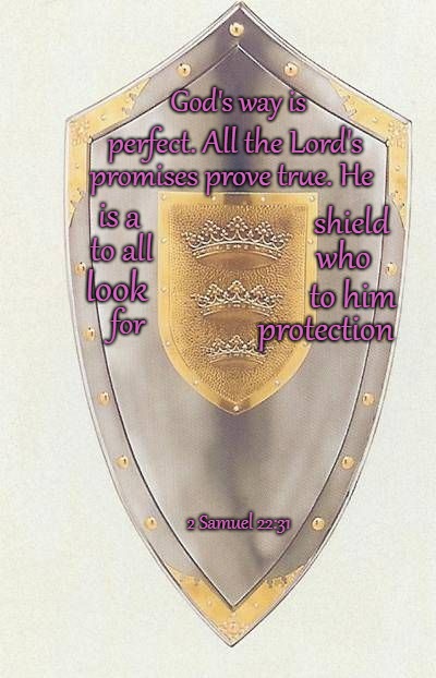 2 Samuel 22:31 God's Way Is Always Perfect All The Lord"s Promises Prove True He Is A Shield | God's way is; perfect. All the Lord's; promises prove true. He; is a; shield; to all; who; look; to him; for; protection; 2 Samuel 22:31 | image tagged in bible,holy bible,holy spirit,bible verse,verse,versegod | made w/ Imgflip meme maker