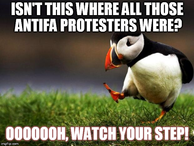 Unpopular Opinion Puffin | ISN'T THIS WHERE ALL THOSE ANTIFA PROTESTERS WERE? OOOOOOH, WATCH YOUR STEP! | image tagged in memes,unpopular opinion puffin | made w/ Imgflip meme maker