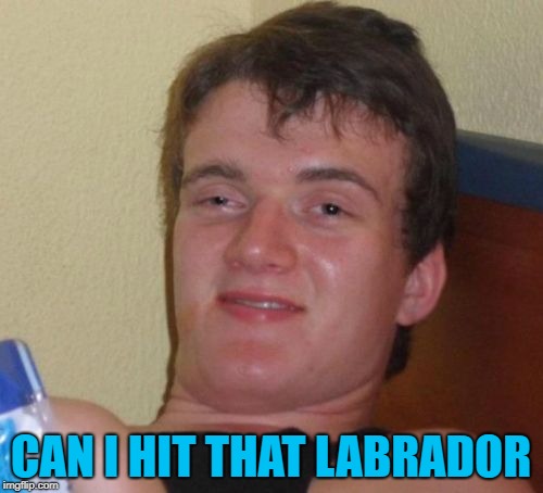10 Guy Meme | CAN I HIT THAT LABRADOR | image tagged in memes,10 guy | made w/ Imgflip meme maker