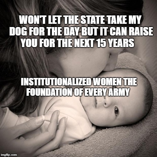 mom | WON'T LET THE STATE TAKE MY DOG FOR THE DAY BUT IT CAN RAISE YOU FOR THE NEXT 15 YEARS; INSTITUTIONALIZED WOMEN THE FOUNDATION OF EVERY ARMY | image tagged in mom | made w/ Imgflip meme maker