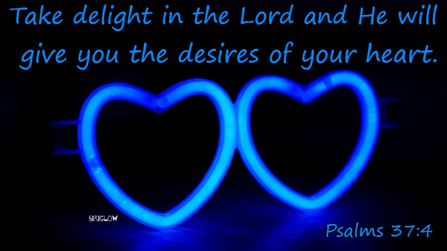 Psalms 37:4 Take Delight In The Lord | Take delight in the Lord and He will; give you the desires of your heart. Psalms 37:4 | image tagged in bible,holy bible,holy spirit,bible verse,verse,god | made w/ Imgflip meme maker