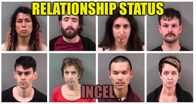Incel  | RELATIONSHIP STATUS; INCEL | image tagged in monkeys,dicks,pencils,antifa,drugs,arrested | made w/ Imgflip meme maker