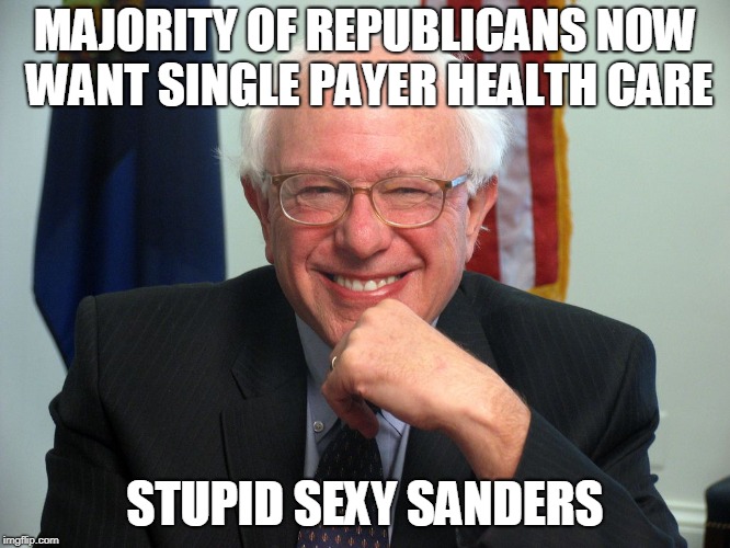 Vote Bernie Sanders | MAJORITY OF REPUBLICANS NOW WANT SINGLE PAYER HEALTH CARE; STUPID SEXY SANDERS | image tagged in vote bernie sanders | made w/ Imgflip meme maker