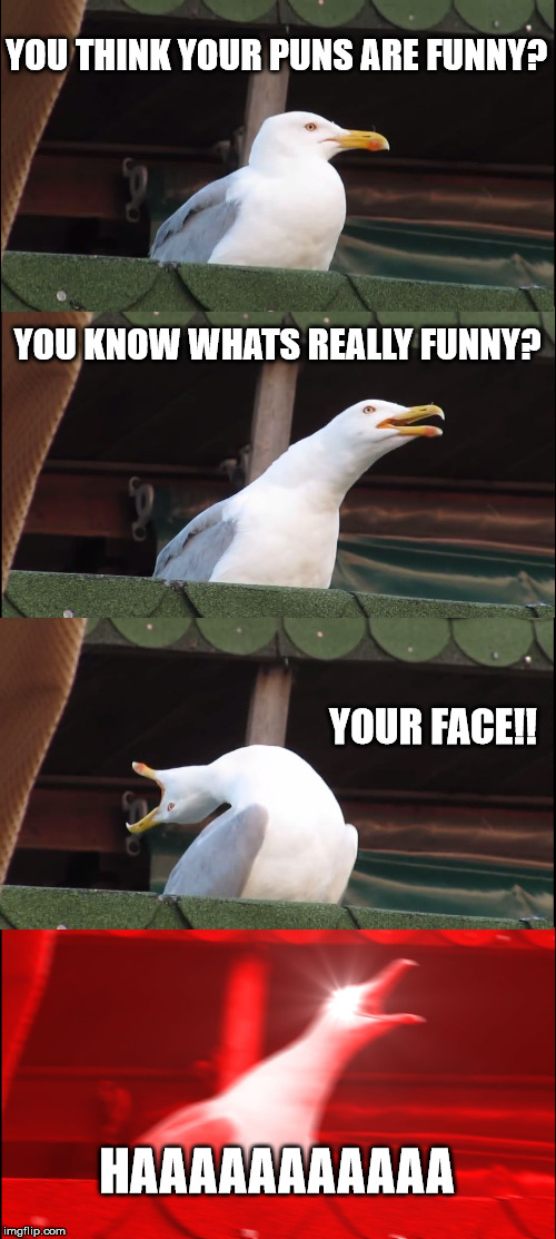 Inhaling Seagull Meme | YOU THINK YOUR PUNS ARE FUNNY? YOU KNOW WHATS REALLY FUNNY? YOUR FACE!! HAAAAAAAAAAA | image tagged in memes,inhaling seagull | made w/ Imgflip meme maker