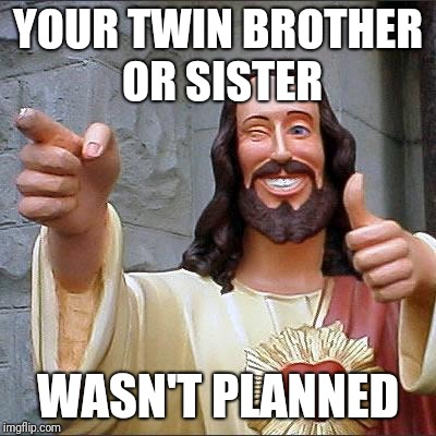 Buddy Christ Meme | YOUR TWIN BROTHER OR SISTER; WASN'T PLANNED | image tagged in memes,buddy christ | made w/ Imgflip meme maker