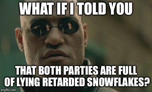Matrix Morpheus Meme | WHAT IF I TOLD YOU THAT BOTH PARTIES ARE FULL OF LYING RETARDED SNOWFLAKES? | image tagged in memes,matrix morpheus | made w/ Imgflip meme maker