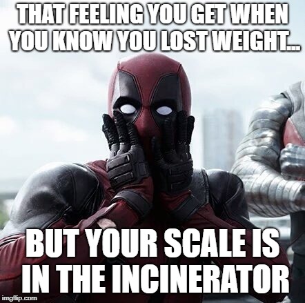 Deadpool Surprised | THAT FEELING YOU GET WHEN YOU KNOW YOU LOST WEIGHT... BUT YOUR SCALE IS IN THE INCINERATOR | image tagged in memes,deadpool surprised | made w/ Imgflip meme maker