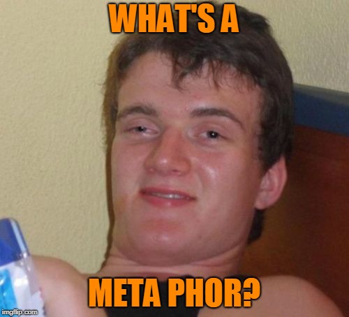 10 Guy Meme | WHAT'S A META PHOR? | image tagged in memes,10 guy | made w/ Imgflip meme maker
