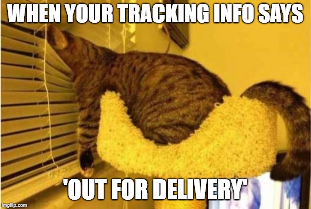 Waiting the mailman | WHEN YOUR TRACKING INFO SAYS; 'OUT FOR DELIVERY' | image tagged in waiting the mailman | made w/ Imgflip meme maker