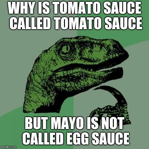Philosoraptor | WHY IS TOMATO SAUCE CALLED TOMATO SAUCE; BUT MAYO IS NOT CALLED EGG SAUCE | image tagged in memes,philosoraptor | made w/ Imgflip meme maker