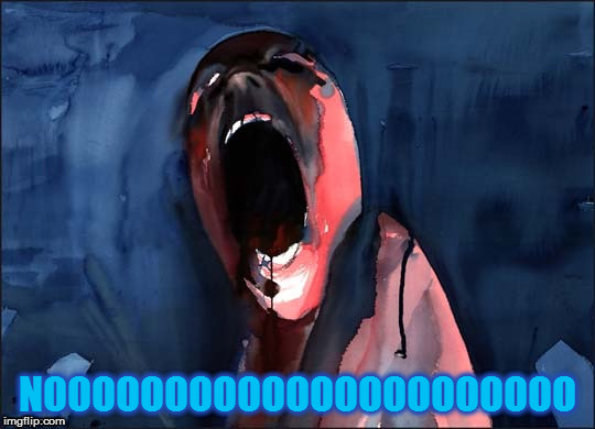 Pink Floyd Scream | NOOOOOOOOOOOOOOOOOOOOOO | image tagged in pink floyd scream | made w/ Imgflip meme maker