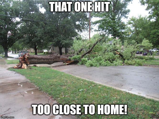 Fallen Tree | THAT ONE HIT TOO CLOSE TO HOME! | image tagged in fallen tree | made w/ Imgflip meme maker