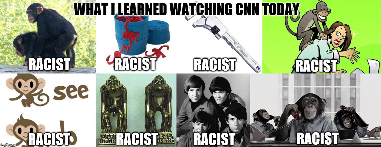 Monkeys are Racist | WHAT I LEARNED WATCHING CNN TODAY; RACIST; RACIST; RACIST; RACIST; RACIST; RACIST; RACIST; RACIST | image tagged in monkey,racist,cnn | made w/ Imgflip meme maker