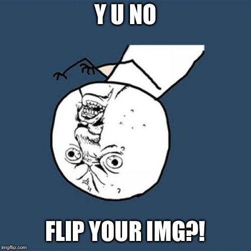 IMG FLIP, right? | Y U NO; FLIP YOUR IMG?! | image tagged in memes,y u no,imgflip,flip,upside-down,upside down | made w/ Imgflip meme maker