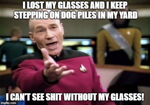 Picard Wtf | I LOST MY GLASSES AND I KEEP STEPPING ON DOG PILES IN MY YARD; I CAN'T SEE SHIT WITHOUT MY GLASSES! | image tagged in memes,picard wtf | made w/ Imgflip meme maker
