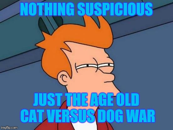 Futurama Fry Meme | NOTHING SUSPICIOUS JUST THE AGE OLD CAT VERSUS DOG WAR | image tagged in memes,futurama fry | made w/ Imgflip meme maker