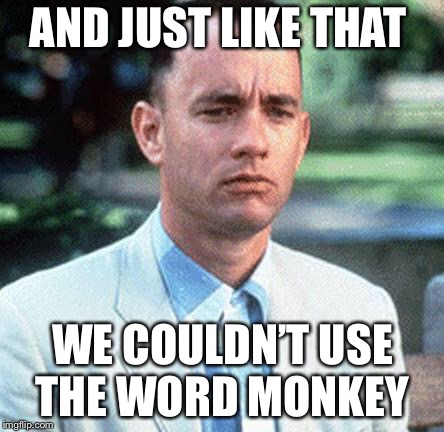 forrest gump | AND JUST LIKE THAT; WE COULDN’T USE THE WORD MONKEY | image tagged in forrest gump | made w/ Imgflip meme maker