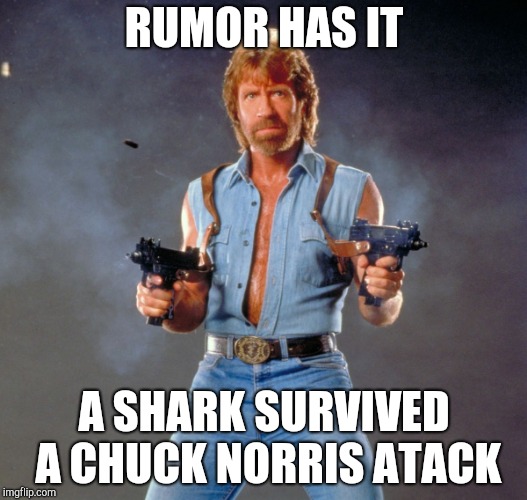Chuck Norris Guns Meme | RUMOR HAS IT; A SHARK SURVIVED A CHUCK NORRIS ATACK | image tagged in memes,chuck norris guns,chuck norris | made w/ Imgflip meme maker