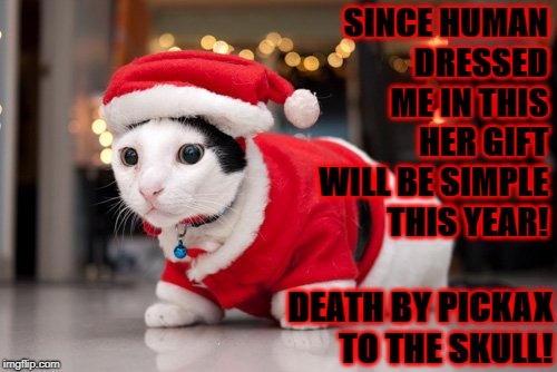 SINCE HUMAN DRESSED ME IN THIS HER GIFT WILL BE SIMPLE THIS YEAR! DEATH BY PICKAX TO THE SKULL! | image tagged in die human | made w/ Imgflip meme maker