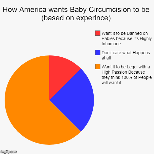 How America wants Baby Circumcision to be (based on experince) | Want it to be Legal with a High Passion Because they think 100% of People w | image tagged in funny,pie charts | made w/ Imgflip chart maker