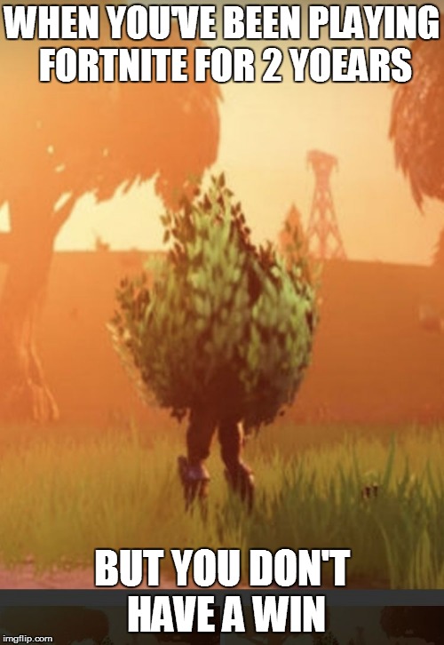 Fortnite bush | WHEN YOU'VE BEEN PLAYING FORTNITE FOR 2 YOEARS; BUT YOU DON'T HAVE A WIN | image tagged in fortnite bush | made w/ Imgflip meme maker