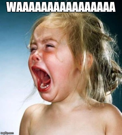 Little girl crying  | WAAAAAAAAAAAAAAAA | image tagged in little girl crying | made w/ Imgflip meme maker