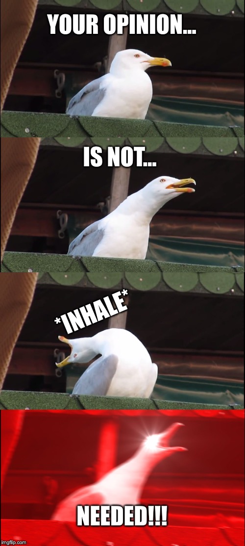 Inhaling Seagull | YOUR OPINION... IS NOT... *INHALE*; NEEDED!!! | image tagged in memes,inhaling seagull | made w/ Imgflip meme maker
