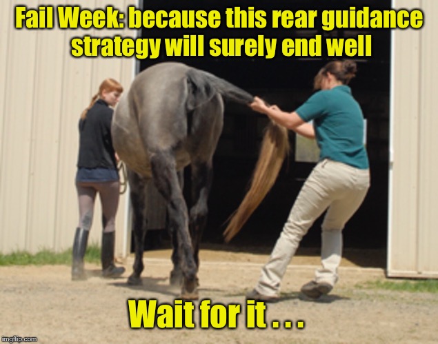 Fail Week: Find the horse’s ass in this pic | Fail Week: because this rear guidance strategy will surely end well; Wait for it . . . | image tagged in memes,fail week,horse,pulling tail,drsarcasm | made w/ Imgflip meme maker