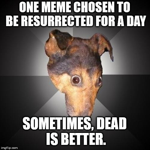 Depression Dog Meme | ONE MEME CHOSEN TO BE RESURRECTED FOR A DAY; SOMETIMES, DEAD IS BETTER. | image tagged in memes,depression dog | made w/ Imgflip meme maker