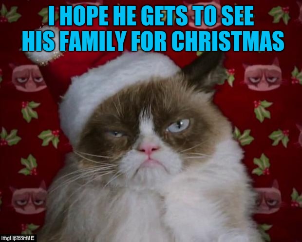 Grumpy Cat Christmas | I HOPE HE GETS TO SEE HIS FAMILY FOR CHRISTMAS | image tagged in grumpy cat christmas | made w/ Imgflip meme maker