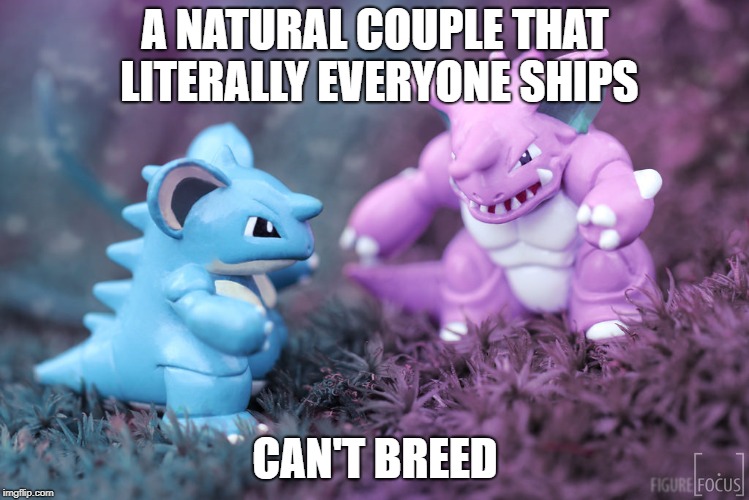 A NATURAL COUPLE THAT LITERALLY EVERYONE SHIPS; CAN'T BREED | image tagged in pokemon,nidoking,nidoqueen,breeding,shipping,thisimagehasalotoftags | made w/ Imgflip meme maker