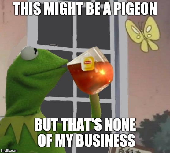 Or is it? | THIS MIGHT BE A PIGEON; BUT THAT'S NONE OF MY BUSINESS | image tagged in but that's none of my pigeon,kermit the frog,pigeon,memes,ilikepie314159265358979 | made w/ Imgflip meme maker