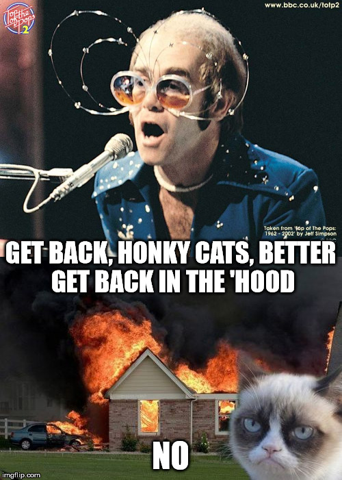 you just don't tell cats what to do, not even in song | GET BACK, HONKY CATS, BETTER GET BACK IN THE 'HOOD; NO | image tagged in elton john,grumpy cat,fire | made w/ Imgflip meme maker