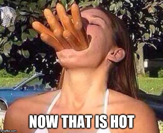 hot dog girl | NOW THAT IS HOT | image tagged in hot dog girl | made w/ Imgflip meme maker
