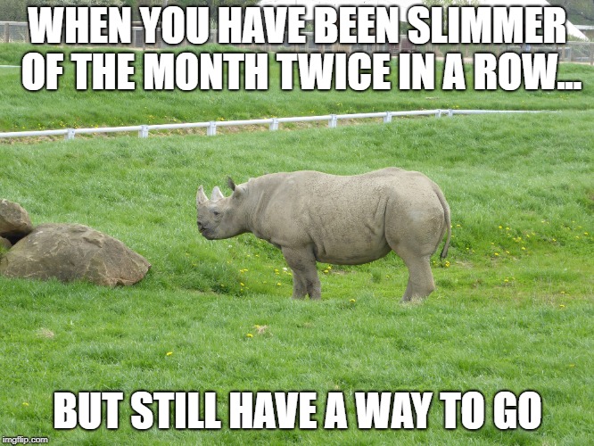 meme | WHEN YOU HAVE BEEN SLIMMER OF THE MONTH TWICE IN A ROW... BUT STILL HAVE A WAY TO GO | image tagged in funny memes | made w/ Imgflip meme maker