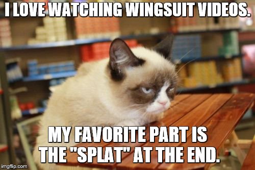 Grumpy Cat Table Meme | I LOVE WATCHING WINGSUIT VIDEOS. MY FAVORITE PART IS THE "SPLAT" AT THE END. | image tagged in memes,grumpy cat table,grumpy cat | made w/ Imgflip meme maker
