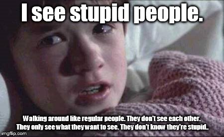 I See Dead People Meme | I see stupid people. Walking around like regular people. They don't see each other. They only see what they want to see. They don't know they're stupid.. | image tagged in memes,i see dead people | made w/ Imgflip meme maker
