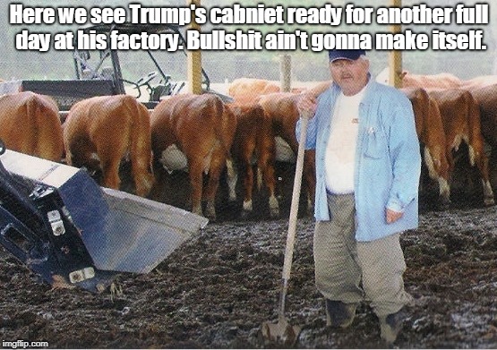 Manure | Here we see Trump's cabniet ready for another full day at his factory. Bullshit ain't gonna make itself. | image tagged in manure | made w/ Imgflip meme maker
