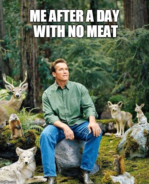 Arnold in Nature | ME AFTER A DAY WITH NO MEAT | image tagged in arnold in nature | made w/ Imgflip meme maker