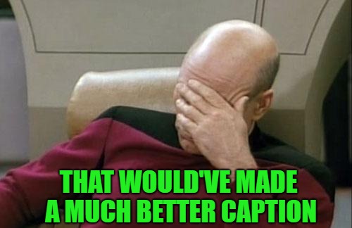 Captain Picard Facepalm Meme | THAT WOULD'VE MADE A MUCH BETTER CAPTION | image tagged in memes,captain picard facepalm | made w/ Imgflip meme maker