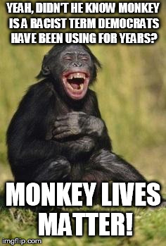 Laughing monkey | YEAH, DIDN'T HE KNOW MONKEY IS A RACIST TERM DEMOCRATS HAVE BEEN USING FOR YEARS? MONKEY LIVES MATTER! | image tagged in laughing monkey | made w/ Imgflip meme maker