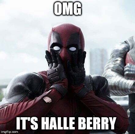 halle berry fan | OMG; IT'S HALLE BERRY | image tagged in memes,deadpool surprised,halle berry,fan | made w/ Imgflip meme maker