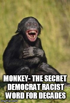 Laughing monkey | MONKEY- THE SECRET DEMOCRAT RACIST WORD FOR DECADES | image tagged in laughing monkey | made w/ Imgflip meme maker