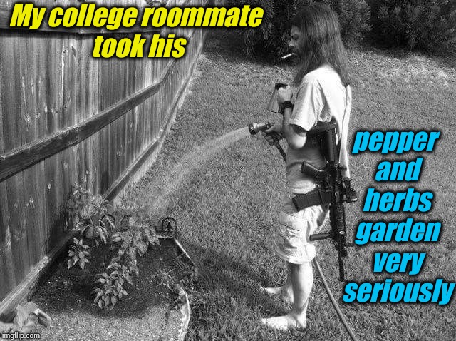 I was going through some boxes and found pics from my college days | pepper and herbs garden very seriously; My college roommate took his | image tagged in college roommate watering his pepper garden,memes,evilmandoevil,funny,ar15 | made w/ Imgflip meme maker