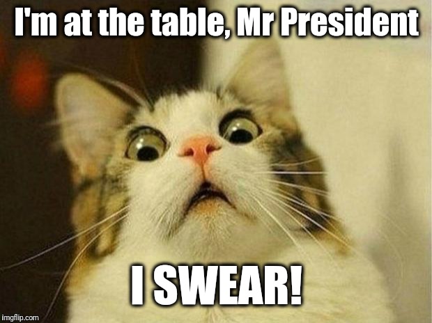 Scared Cat Meme | I'm at the table, Mr President I SWEAR! | image tagged in memes,scared cat | made w/ Imgflip meme maker